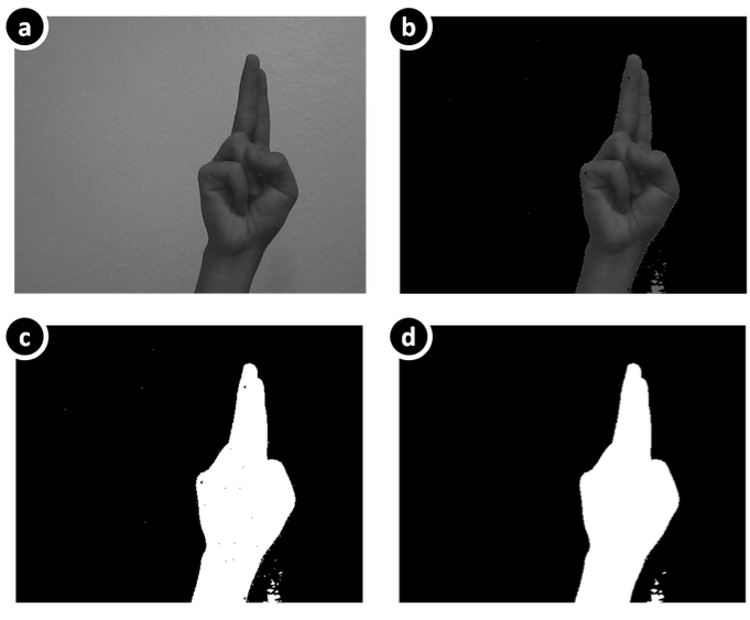 Sign language